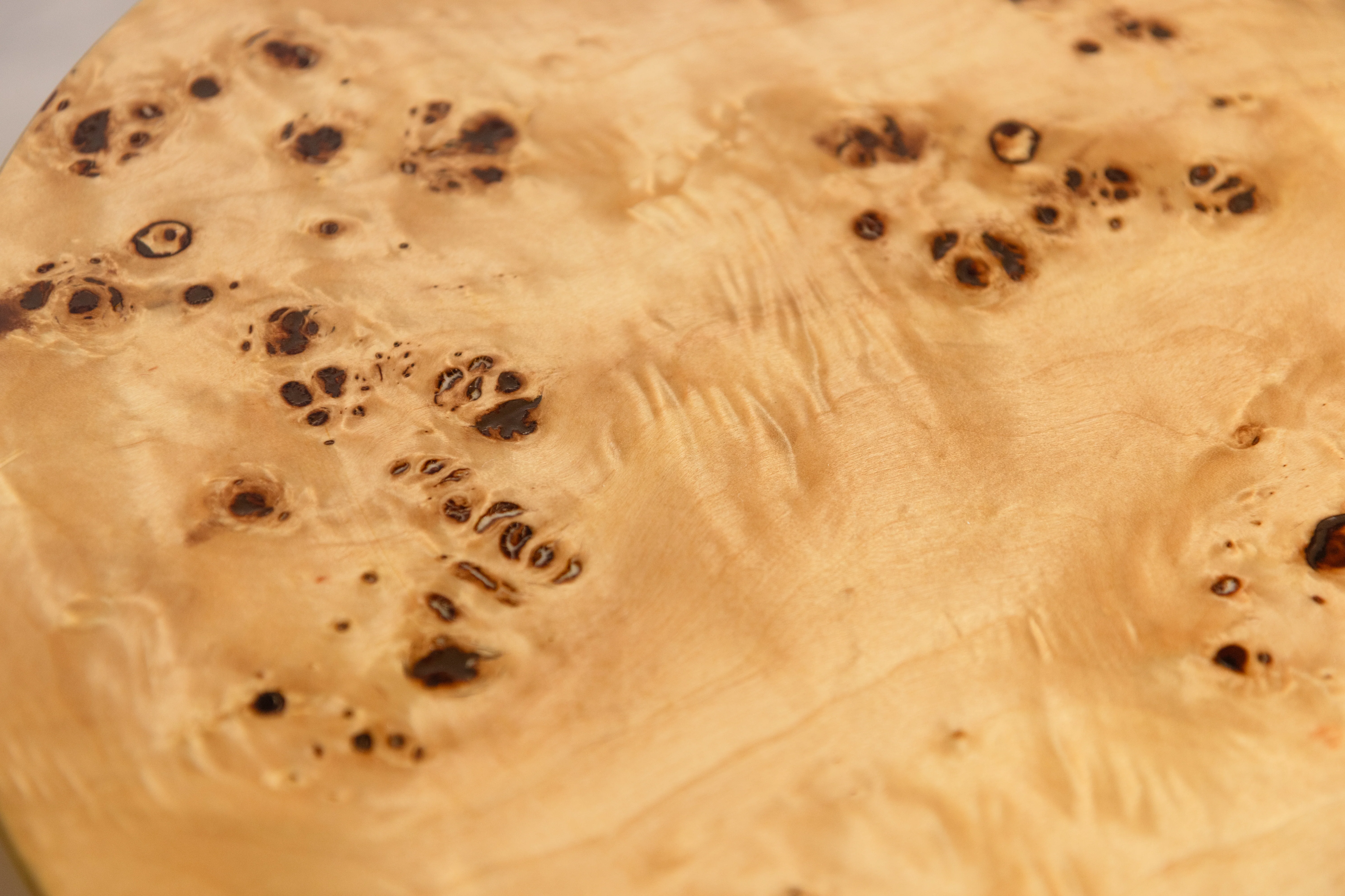 Casa Burl Wood Veneer Side Table - Image 6