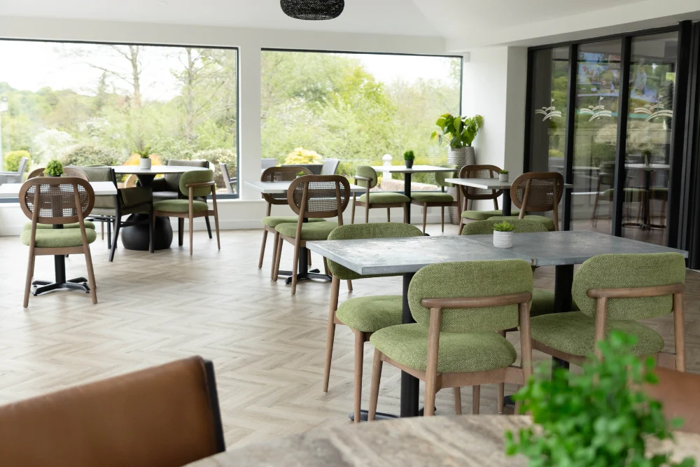 Lucca Dining Chair Range - Image 28