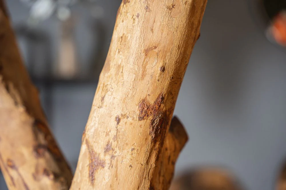 Olive Tree Bar Table - 2.3m Tree - Image 9