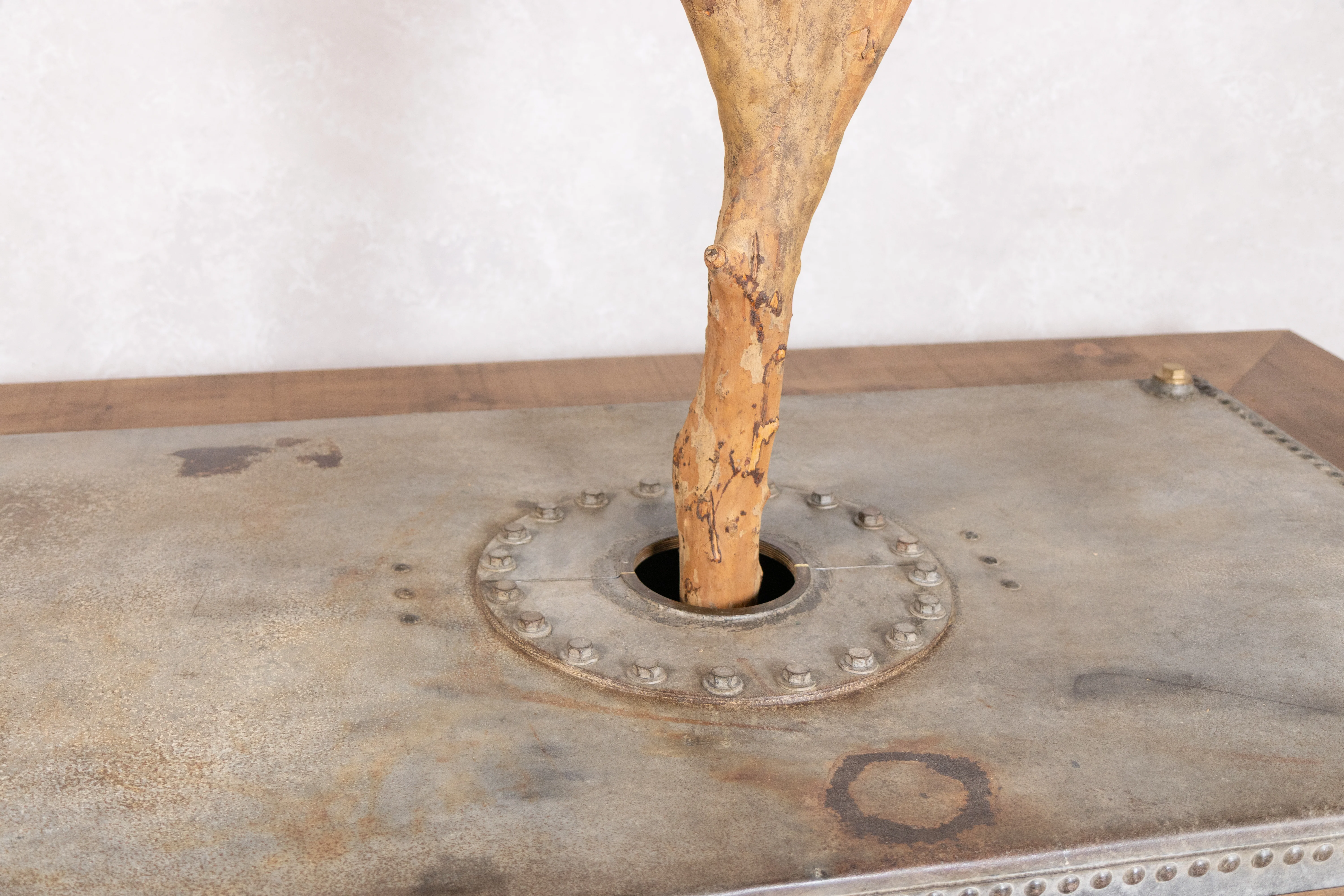 Olive Tree Dining Table - Image 10