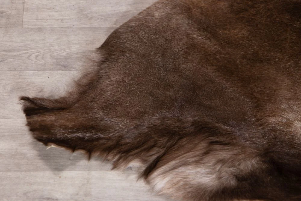 Reindeer Hide Rug - Image 4