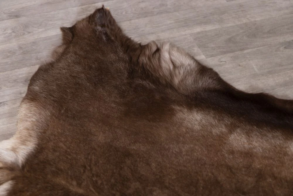 Reindeer Hide Rug - Image 5