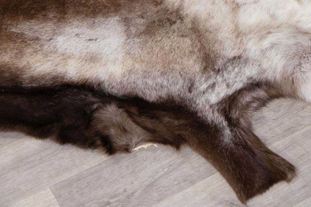 Reindeer Hide Rug - Image 7