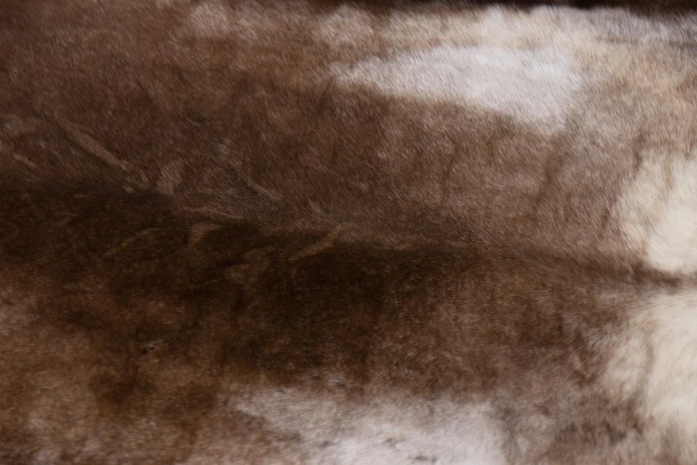 Reindeer Hide Rug - Image 9