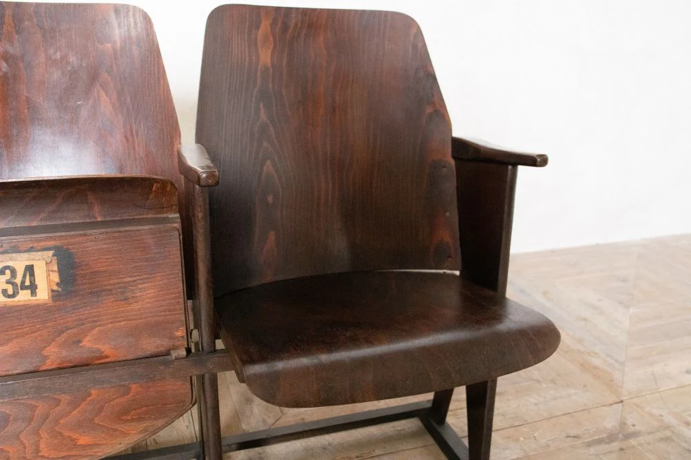 Cinema Seats (Rounded Top) - 2 Seater - Image 3