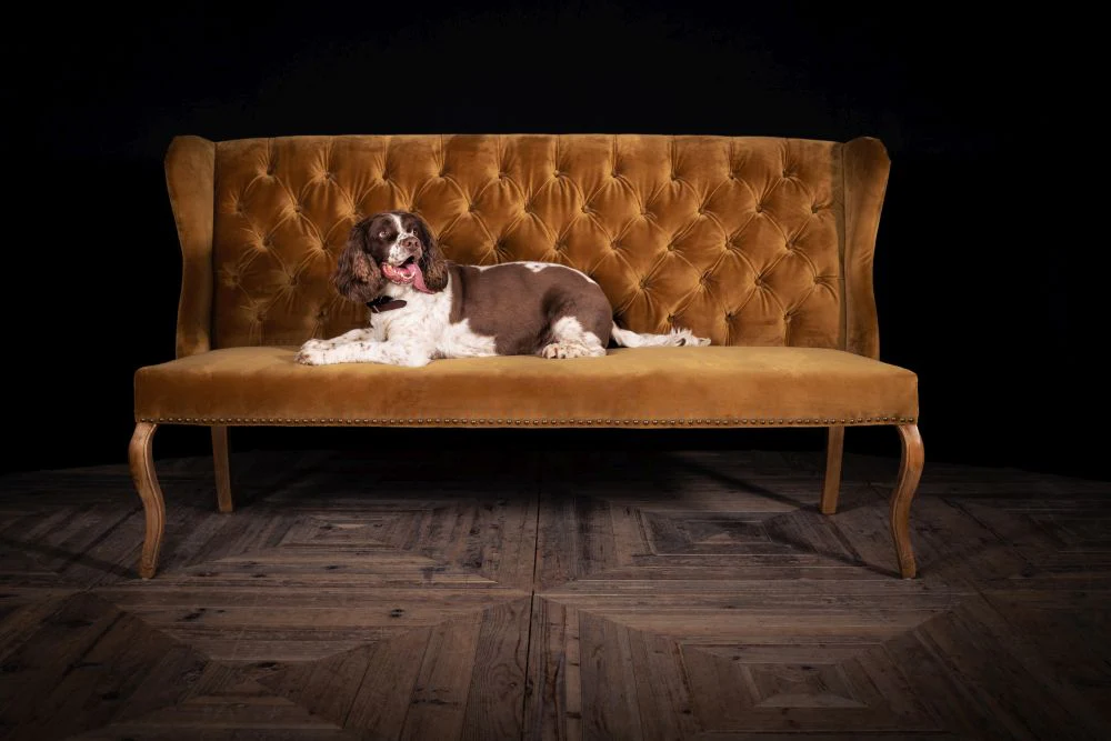 St. Emilion Velvet Dining Bench Range - Image 8