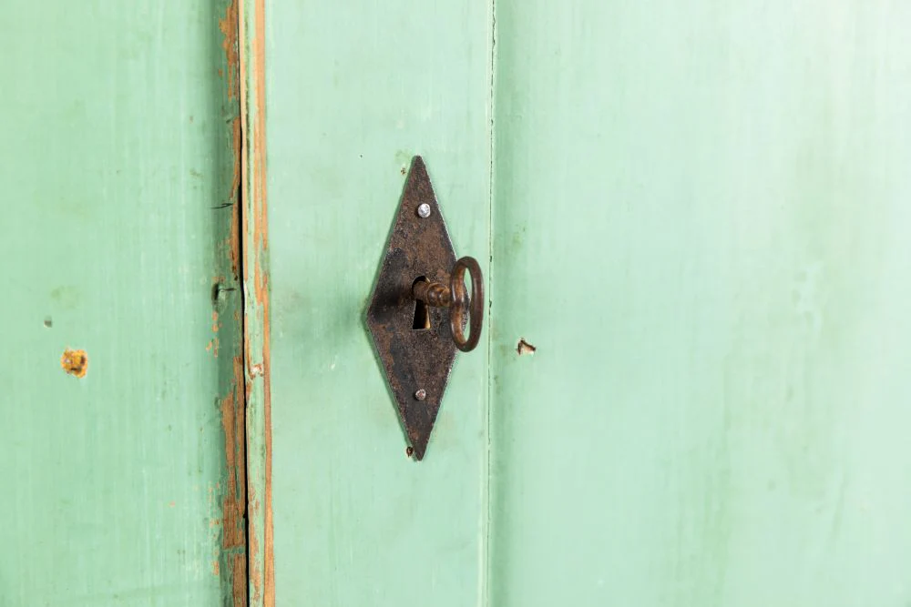 Tall Vintage Larder Cupboard - Image 5