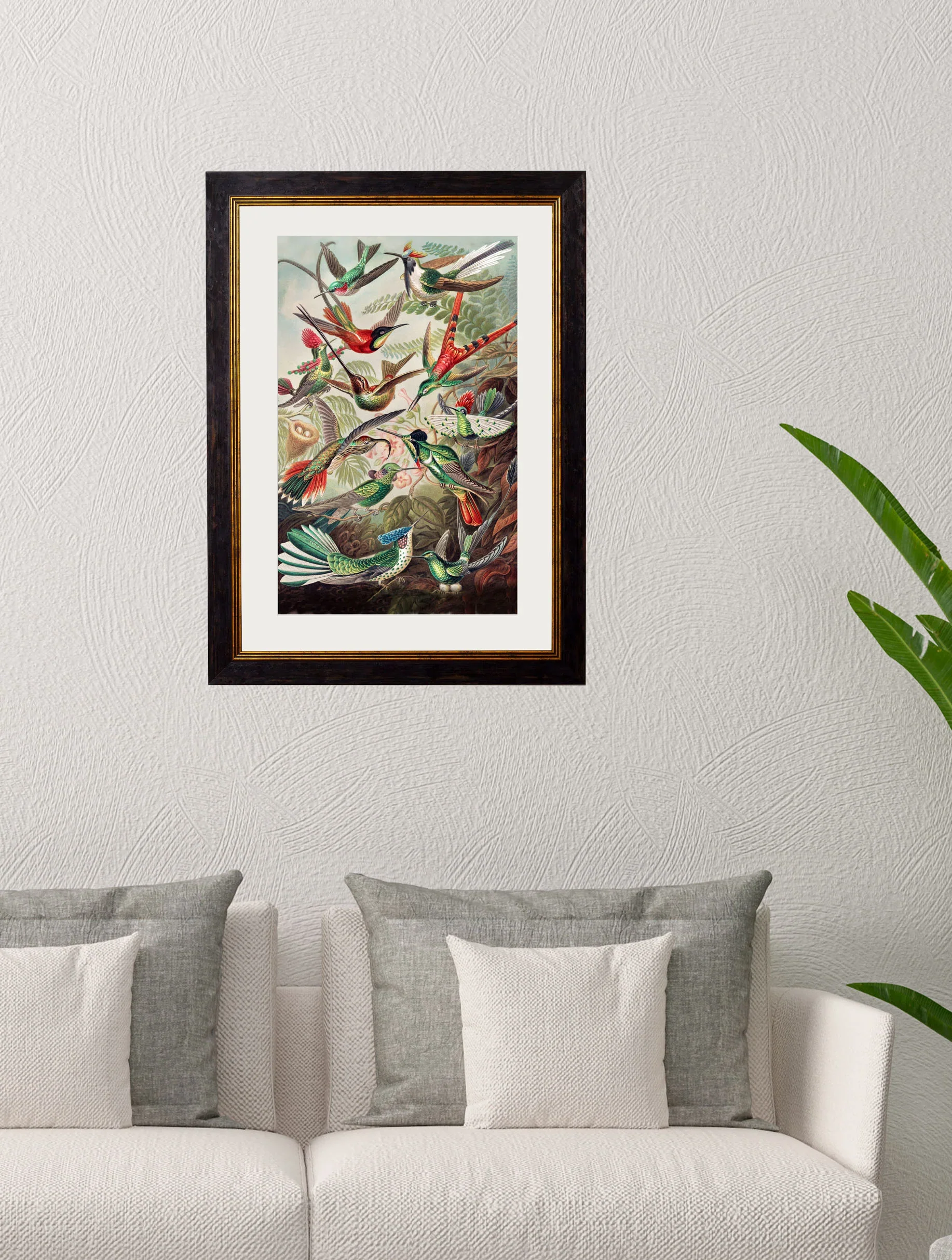 Vintage Style Birds of America Framed Art Range - Image 3