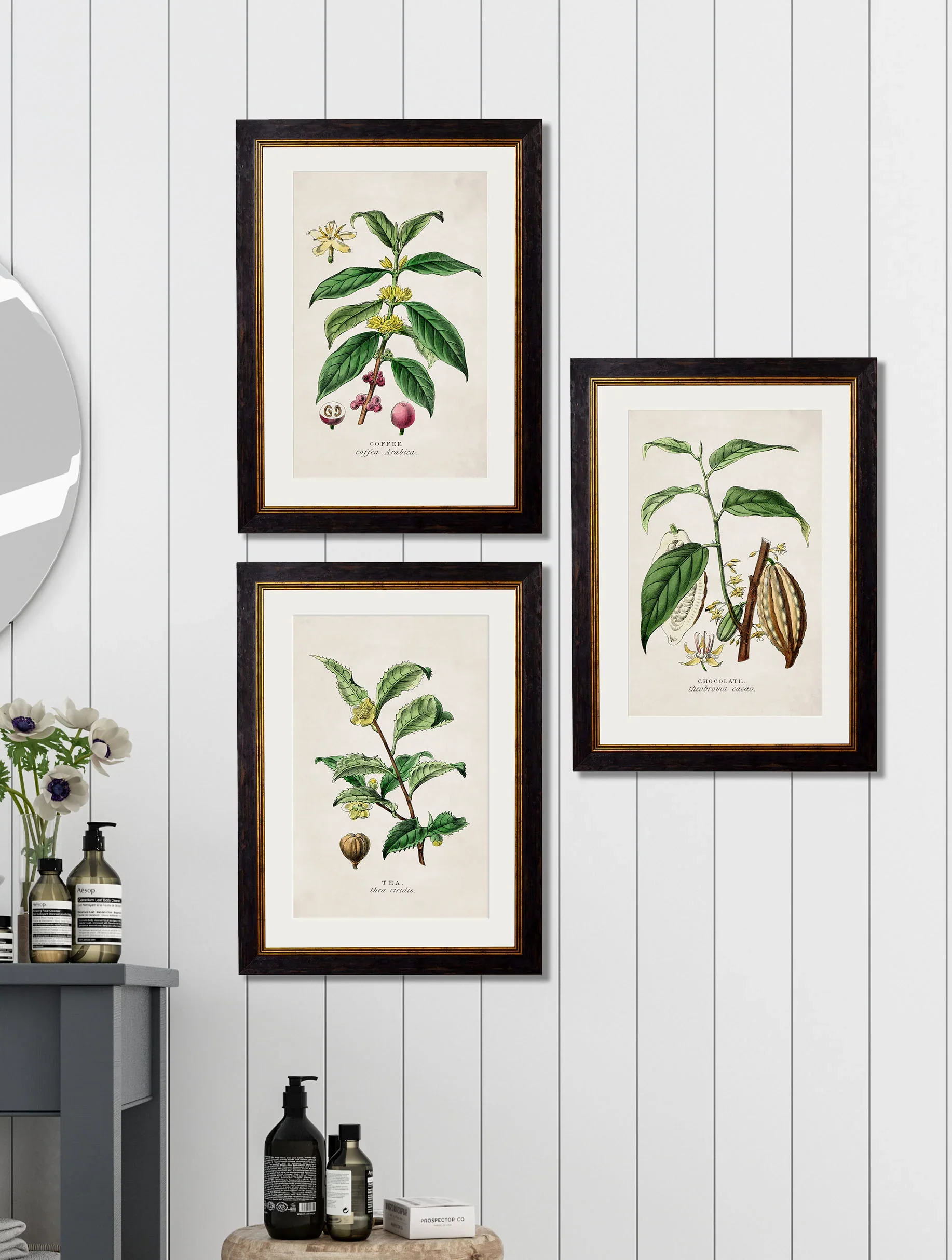 Vintage Style Botanical Framed Art Range - Image 4