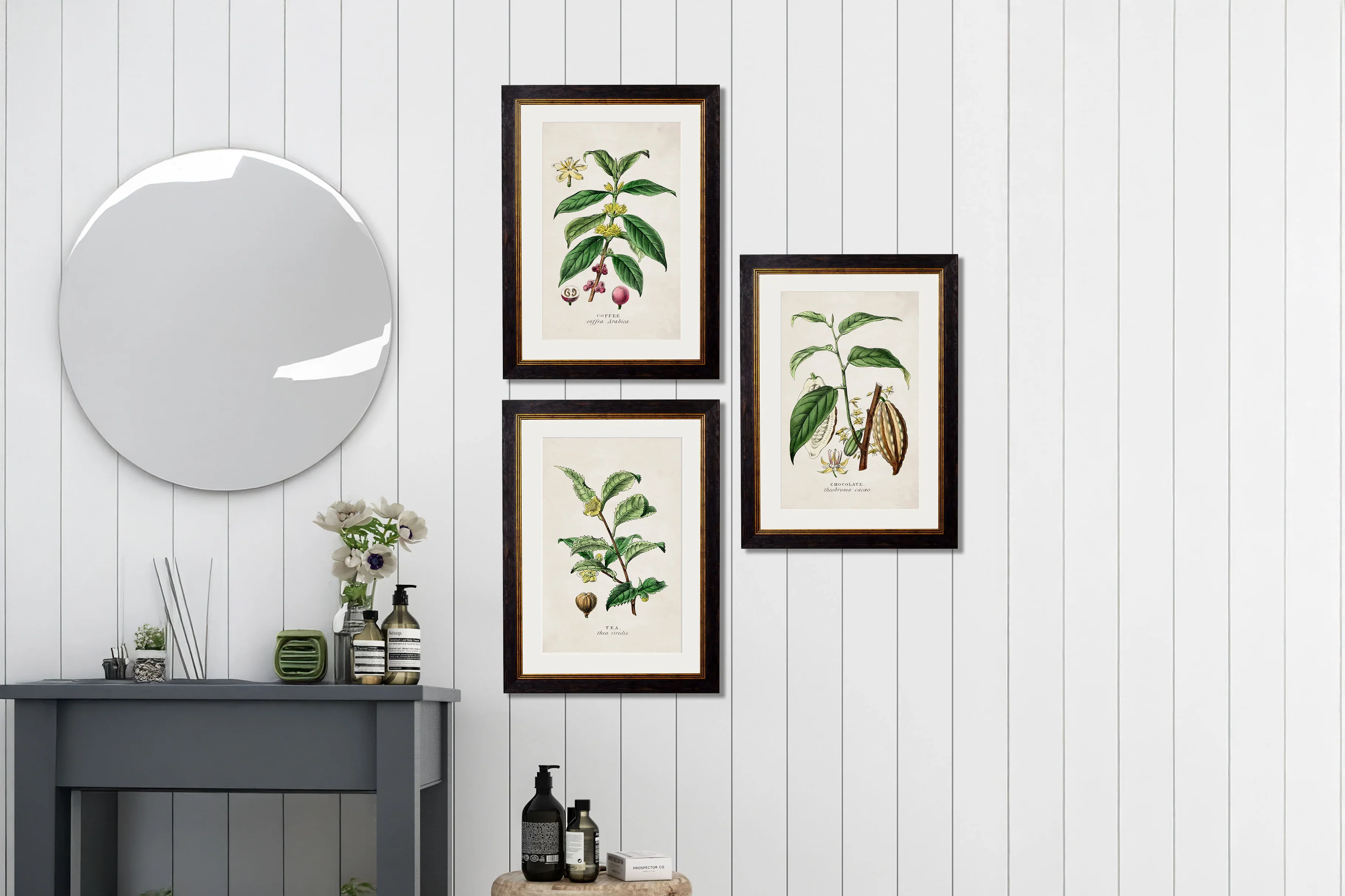 Vintage Style Botanical Framed Art Range - Image 5