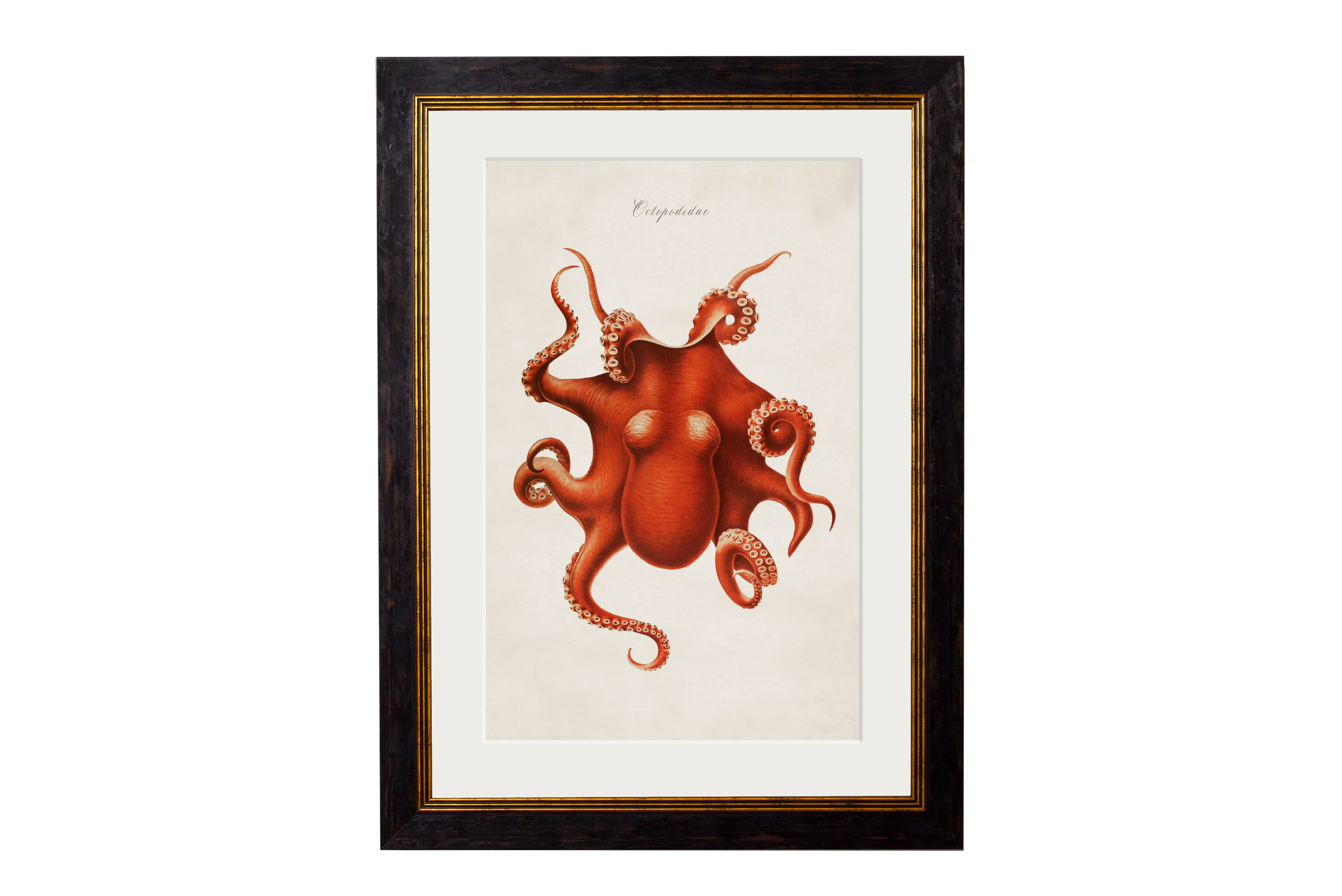 Vintage Style Marine Framed Art - Image 5