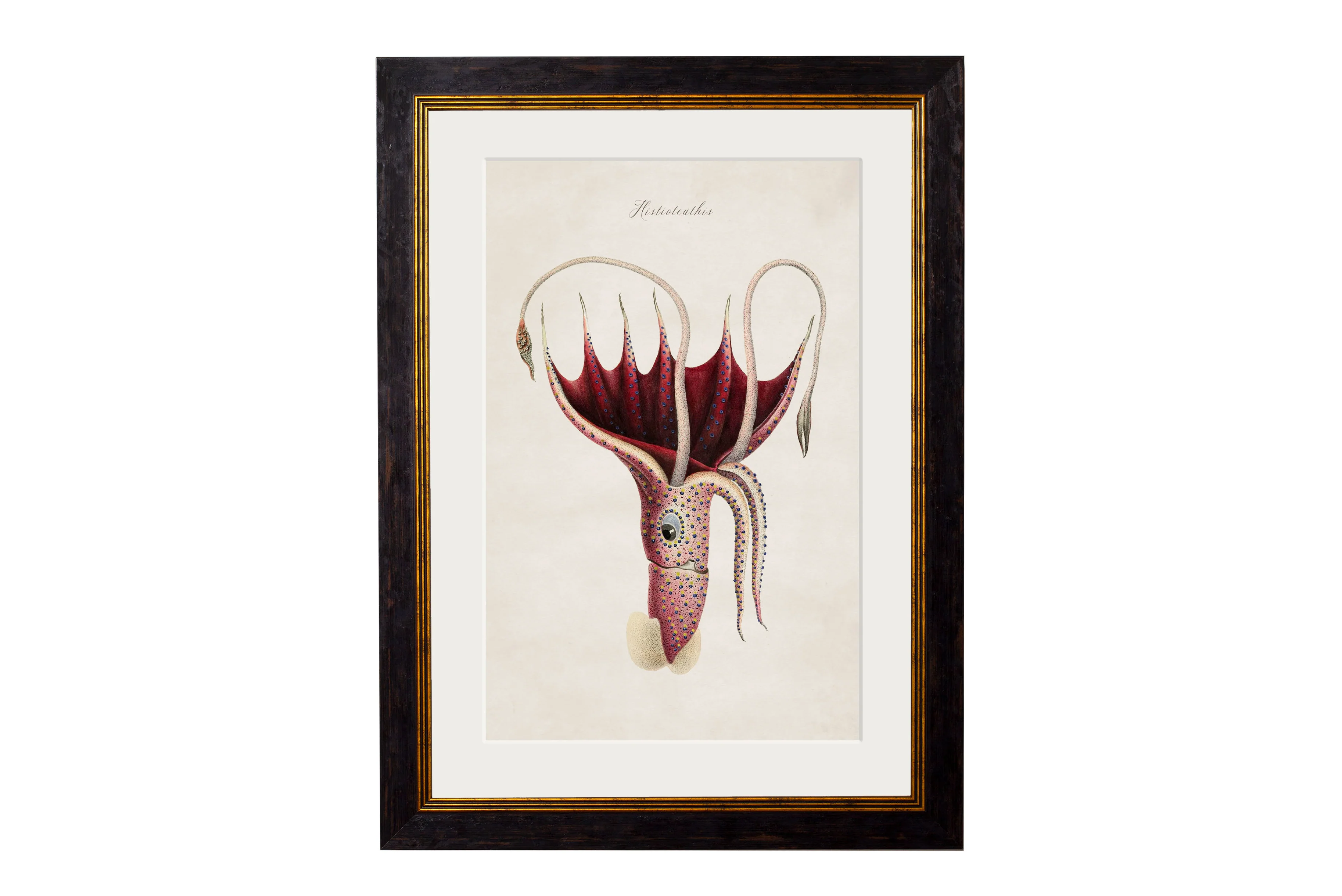 Vintage Style Marine Framed Art - Image 6